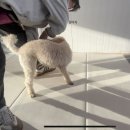 달콤체육관 이미지