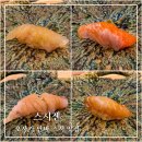 스시젠 - 창원시 마산합포구 동서북10길 82 | 오사카 난바 스시 맛집 스시젠 사케 무제한 오마카세 후기