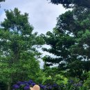 토평공단로 이미지