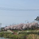 보성청실아파트 앞 이미지