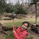 오후의숲