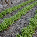 경희라라한의원 이미지