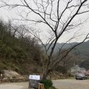 정원여인숙 | 쌍계사 하동 화개 펜션 깔끔하고 깨끗하고 친절한 홍인펜션 101호 내돈내산 숙박후기