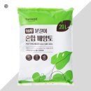플랜테리어 홈가드닝 | 이케아 쓰레기통 화분 만들기, 오이 키우기, 금전수 분갈이 홈가드닝 후기! 분갈이 방법!