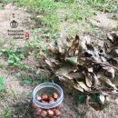 천년 역사 속 옛길 이미지