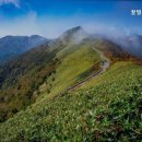 꿀벌공인중개사사무소 이미지