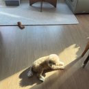 더원막창 | 2025 연말정리하며..(크리스마스, 방콕여행, 연말 다 포함)