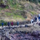 제주예술단 2024 송년음악회 이미지