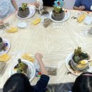 서울양원숲초등학교병설유치원 이미지