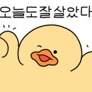화이트크리닝 알파 이미지
