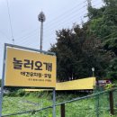 놀러오개 애견유치원 호텔 고기점 이미지