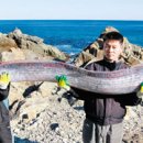 수산1리 마을회관 이미지