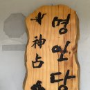 유박사 이미지