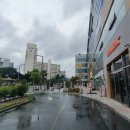 4층약국 이미지