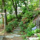 장군봉 등산로 화장실 이미지