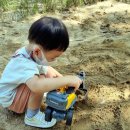 명지근린공원 유아숲체험원 이미지