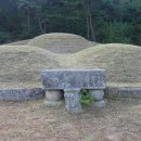 윤원거 묘비 이미지