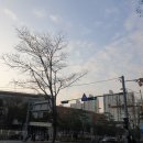 상원고 건너편 이미지