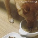 하피 - 천안시 동남구 서부대로 293 | 하피