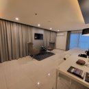 퍼플 315 이미지