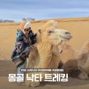몽골여행 부럽트래블, 미니사막 낙타 트레킹 모래 썰매 체험