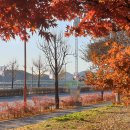 전막~강북교차로 이미지