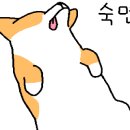 짱오락실 울산성남점 이미지