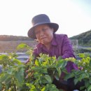 구만리콩마을 영농조합법인 이미지