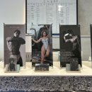 그라운드짐 이미지