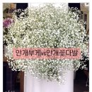 학사꽃집 | 부평 본식 부케 웨딩 촬영 부케 전문 꽃집 미술학사 화훼 기사 운영하는 더 뮤즈 플라워