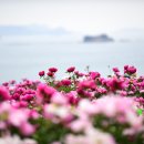 용바위공중화장실 이미지