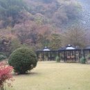 소나무펜션 이미지