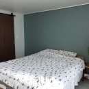 베드로슈퍼 이미지