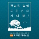 메스티지 이미지