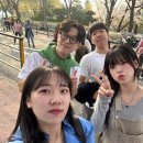 1월부터의 앙딱정