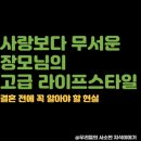 사랑라이프 이미지