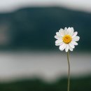 태심관 합기도 입실 체육관 이미지