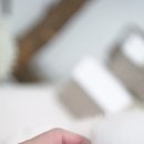 밀리언 로즈 가든 이미지