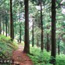 선암사 [1] 개요 / 역사