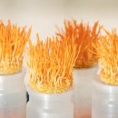 BEST CAR 정비 이미지