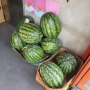 쥬씨 광안쌍용점 이미지