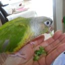 사온누리 이미지