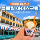아이스크림블루 | [오키나와 맛집?] 블루씰 아이스크림 나고점 내돈내 솔직 후기