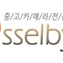 디셀바이