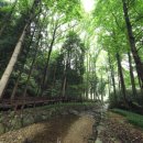 수림약품 이미지