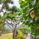 천상에서 이미지