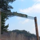 순천-65호 이미지