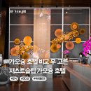 저스트슬립호텔 지행역점 | 가오슝 호텔 추천 저스트슬립 내돈내산 숙소 비교 조식 위치