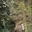 아리랜드 이미지