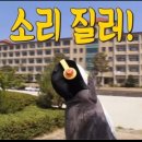 쿨템박스 | 뷰튜버 미닝님 구독자 5만 기념 이벤트박스 당첨 후기